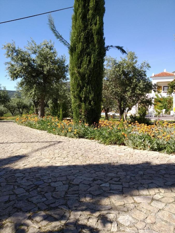 Pensjonat Casa Da Paleta Castelo de Vide Zewnętrze zdjęcie